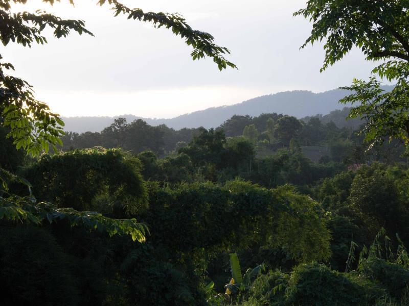 Bambuh Boutique Homestay (Adults Only) Chiang Rai Dış mekan fotoğraf