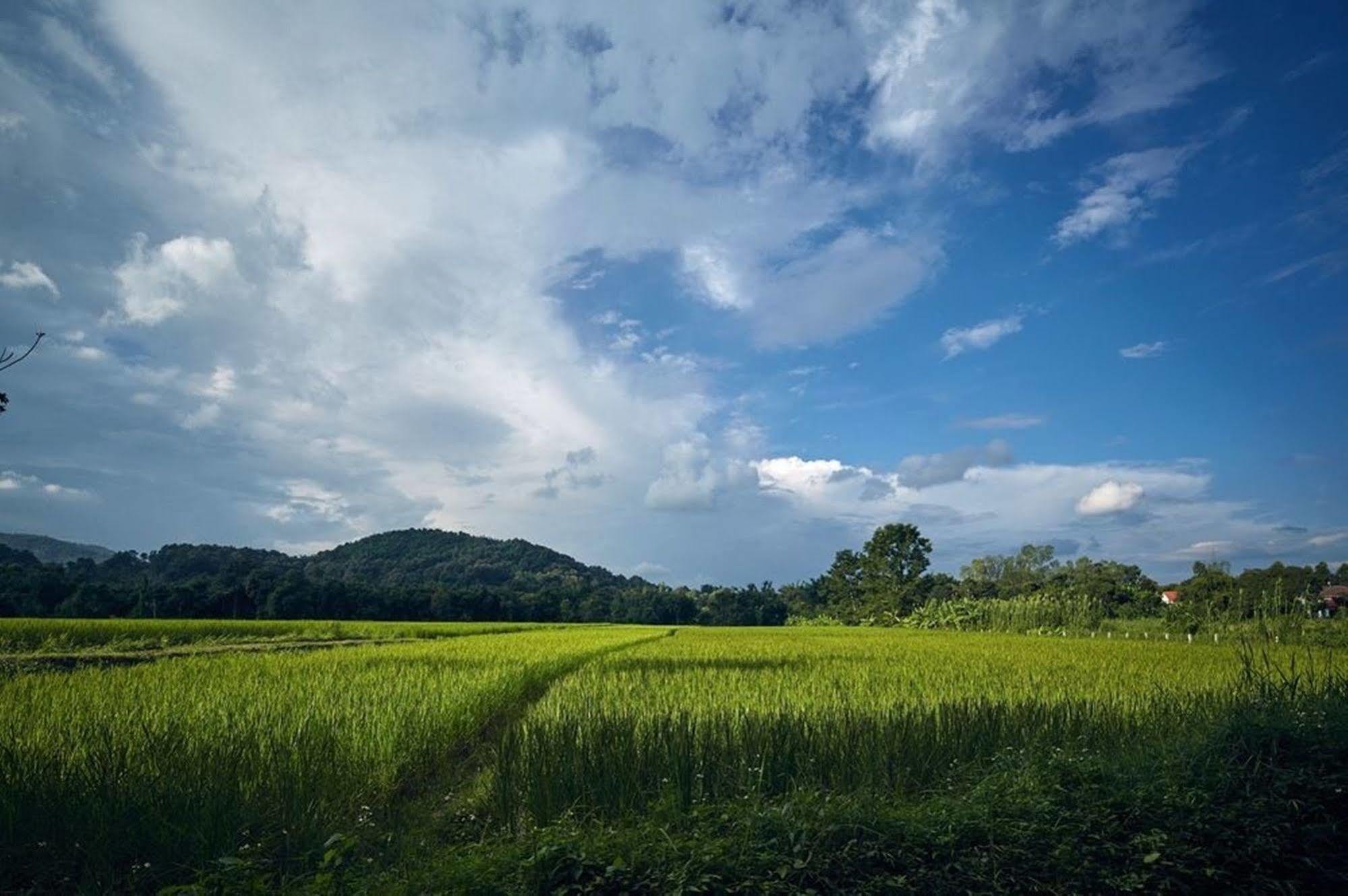 Bambuh Boutique Homestay (Adults Only) Chiang Rai Dış mekan fotoğraf