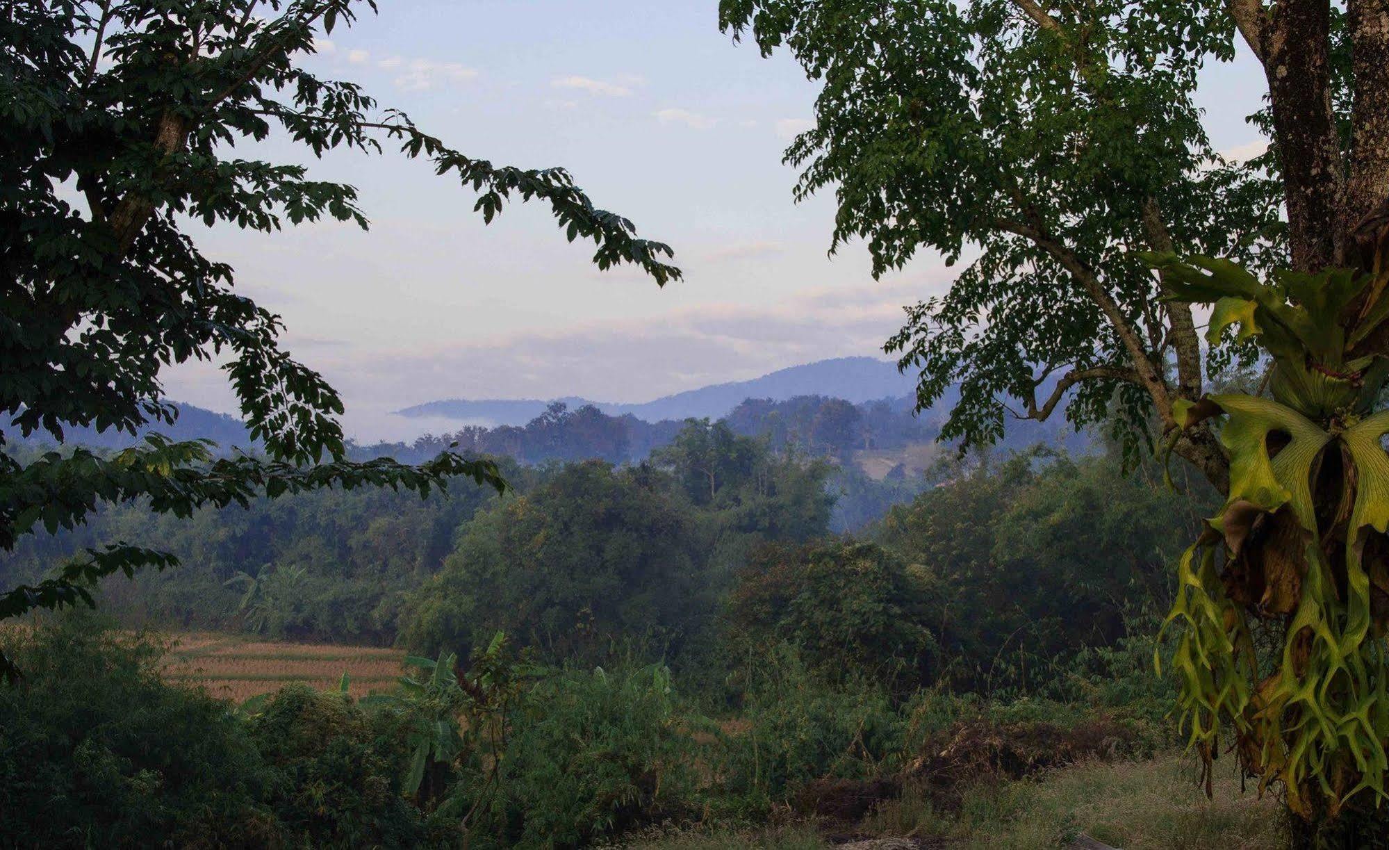 Bambuh Boutique Homestay (Adults Only) Chiang Rai Dış mekan fotoğraf